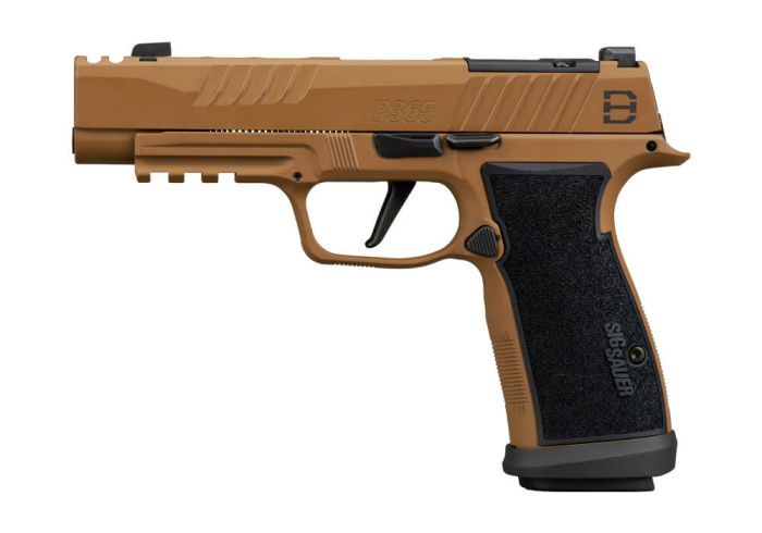 In Stock: P365-DH3 AXG